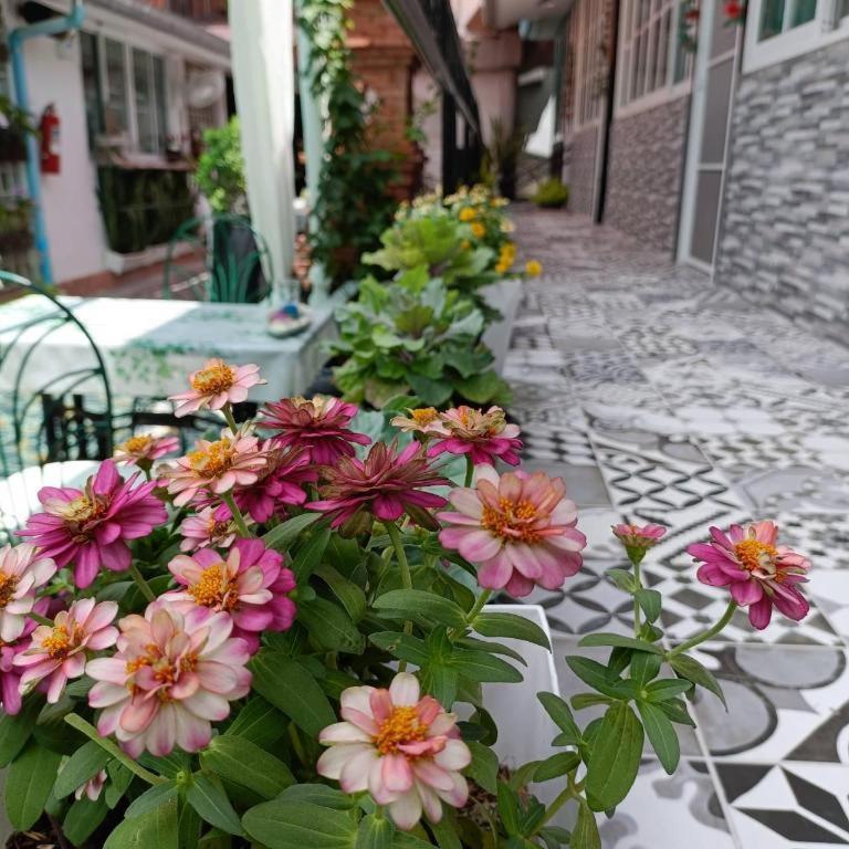 Palm Sweet Hotel Prachuap Khiri Khan Dış mekan fotoğraf