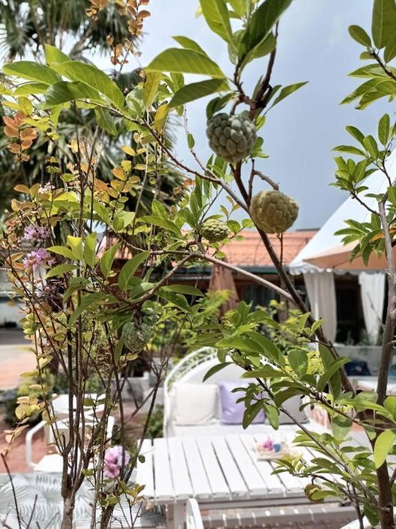 Palm Sweet Hotel Prachuap Khiri Khan Dış mekan fotoğraf